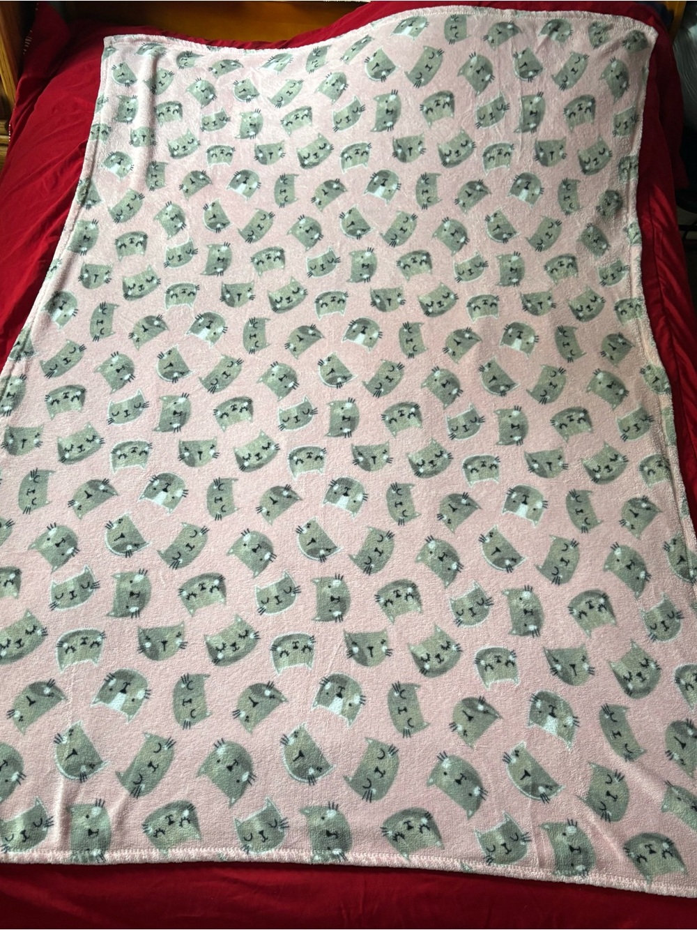 Real Living Pink Fleece Plush Throw Blanket with Gray Cats Kittens